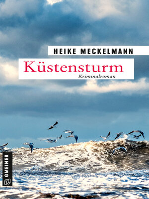 cover image of Küstensturm